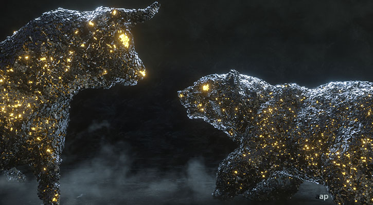 bear and bull image